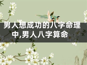 男人想成功的八字命理中,男人八字算命