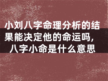 小刘八字命理分析的结果能决定他的命运吗,八字小命是什么意思