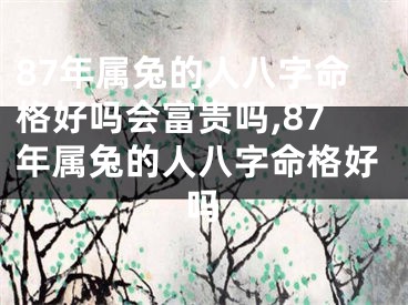 87年属兔的人八字命格好吗会富贵吗,87年属兔的人八字命格好吗