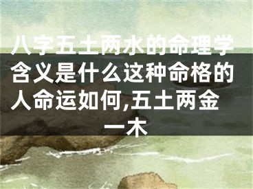 八字五土两水的命理学含义是什么这种命格的人命运如何,五土两金一木