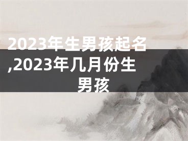 2023年生男孩起名,2023年几月份生男孩
