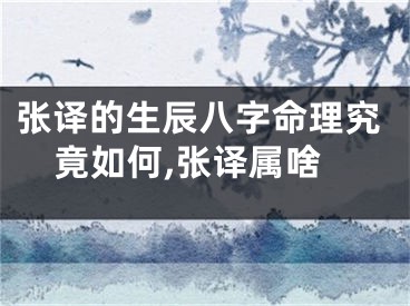 张译的生辰八字命理究竟如何,张译属啥