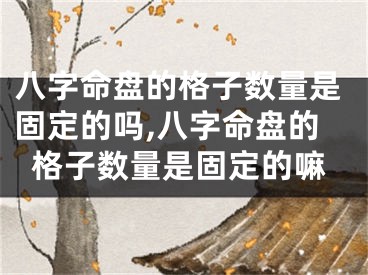 八字命盘的格子数量是固定的吗,八字命盘的格子数量是固定的嘛