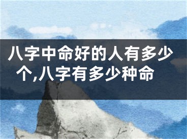 八字中命好的人有多少个,八字有多少种命