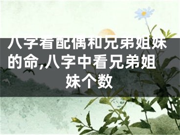 八字看配偶和兄弟姐妹的命,八字中看兄弟姐妹个数