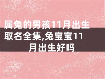 属兔的男孩11月出生取名全集,兔宝宝11月出生好吗