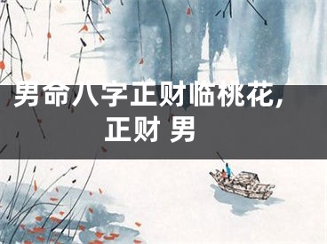 男命八字正财临桃花,正财 男