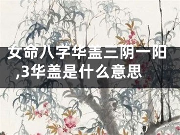 女命八字华盖三阴一阳,3华盖是什么意思