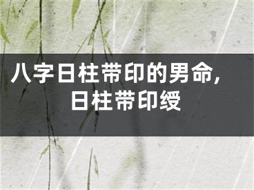 八字日柱带印的男命,日柱带印绶