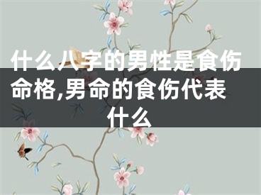 什么八字的男性是食伤命格,男命的食伤代表什么