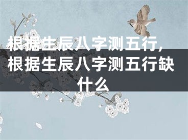 根据生辰八字测五行,根据生辰八字测五行缺什么