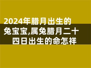2024年腊月出生的兔宝宝,属兔腊月二十四日出生的命怎祥