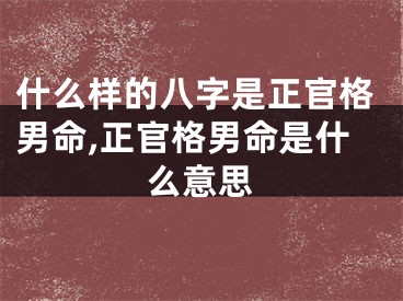 什么样的八字是正官格男命,正官格男命是什么意思