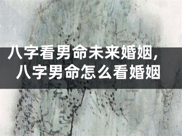 八字看男命未来婚姻,八字男命怎么看婚姻