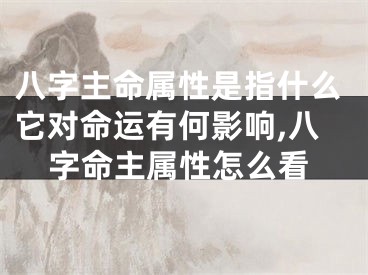 八字主命属性是指什么它对命运有何影响,八字命主属性怎么看