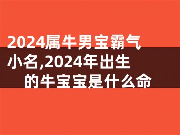 2024属牛男宝霸气小名,2024年出生的牛宝宝是什么命
