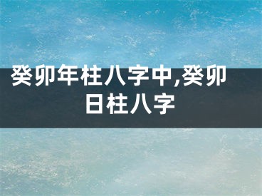 癸卯年柱八字中,癸卯日柱八字