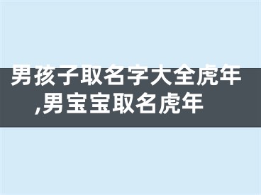 男孩子取名字大全虎年,男宝宝取名虎年