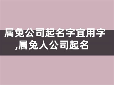 属兔公司起名字宜用字,属兔人公司起名