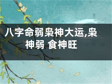 八字命弱枭神大运,枭神弱 食神旺