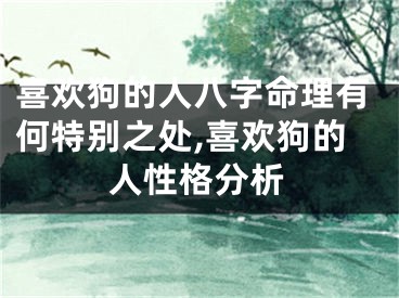 喜欢狗的人八字命理有何特别之处,喜欢狗的人性格分析