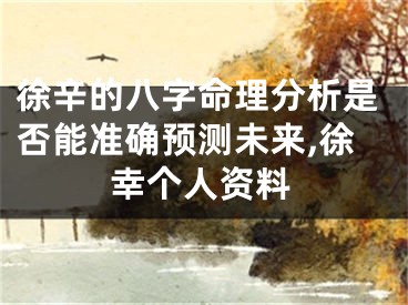 徐辛的八字命理分析是否能准确预测未来,徐幸个人资料