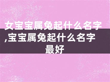 女宝宝属兔起什么名字,宝宝属兔起什么名字最好