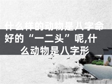 什么样的动物是八字命好的“一二头”呢,什么动物是八字形