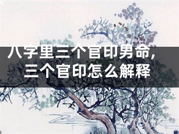 八字里三个官印男命,三个官印怎么解释