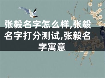 张毅名字怎么样,张毅名字打分测试,张毅名字寓意
