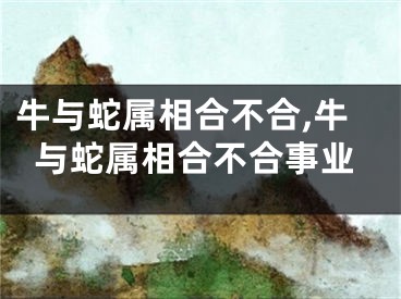 牛与蛇属相合不合,牛与蛇属相合不合事业