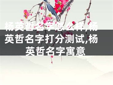 杨英哲名字怎么样,杨英哲名字打分测试,杨英哲名字寓意