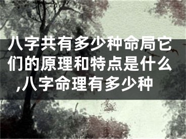 八字共有多少种命局它们的原理和特点是什么,八字命理有多少种
