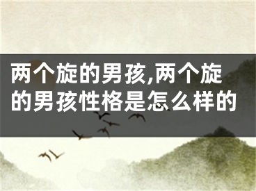 两个旋的男孩,两个旋的男孩性格是怎么样的