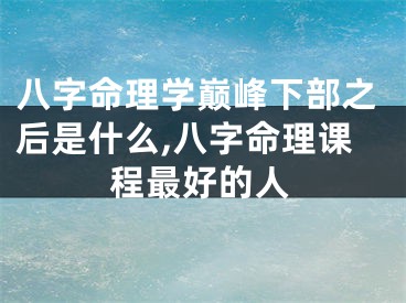 八字命理学巅峰下部之后是什么,八字命理课程最好的人