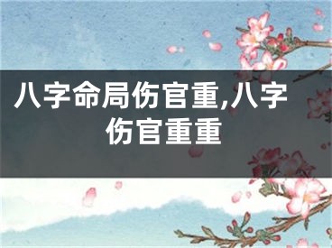 八字命局伤官重,八字伤官重重