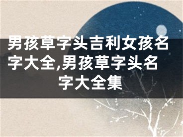 男孩草字头吉利女孩名字大全,男孩草字头名字大全集
