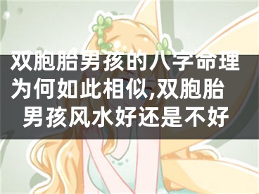 双胞胎男孩的八字命理为何如此相似,双胞胎男孩风水好还是不好