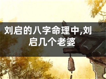 刘启的八字命理中,刘启几个老婆