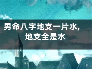 男命八字地支一片水,地支全是水