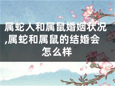 属蛇人和属鼠婚姻状况,属蛇和属鼠的结婚会怎么样