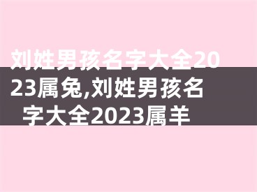刘姓男孩名字大全2023属兔,刘姓男孩名字大全2023属羊