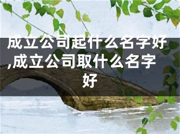 成立公司起什么名字好,成立公司取什么名字好