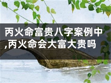 丙火命富贵八字案例中,丙火命会大富大贵吗
