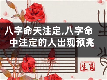 八字命天注定,八字命中注定的人出现预兆