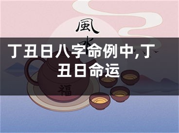 丁丑日八字命例中,丁丑日命运