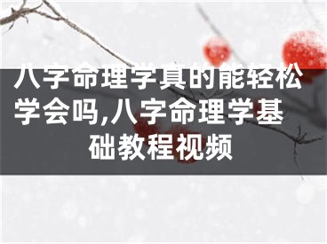 八字命理学真的能轻松学会吗,八字命理学基础教程视频