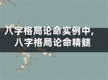 八字格局论命实例中,八字格局论命精髓