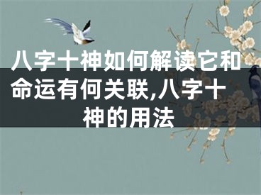 八字十神如何解读它和命运有何关联,八字十神的用法
