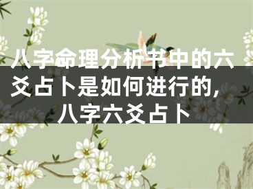 八字命理分析书中的六爻占卜是如何进行的,八字六爻占卜
